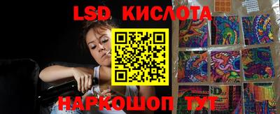 a pvp Свободный