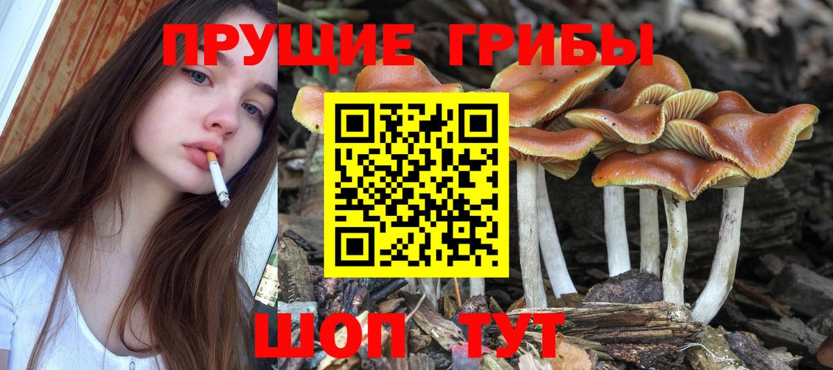 Галлюциногенные грибы мицелий Саяногорск