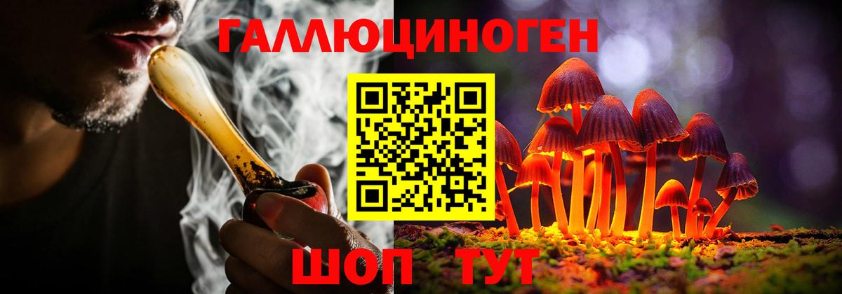 Галлюциногенные грибы прущие грибы  купить   Саяногорск  Вход с VPN 